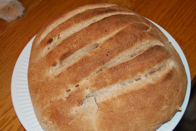 Domaći hljeb