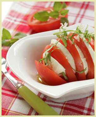 Salata od mozzarele i paradajza