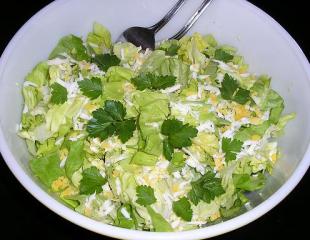 Mimoza salata