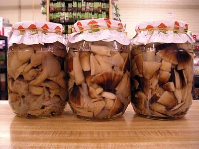 Kiseli šampinjoni