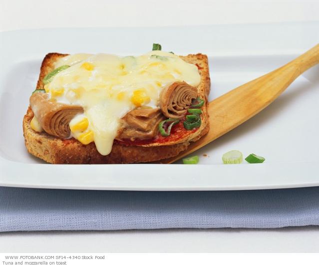 Tost s tunom