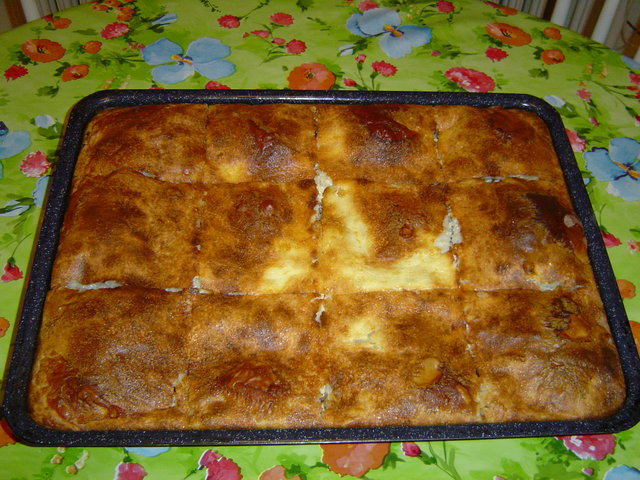 Burek s piletinom