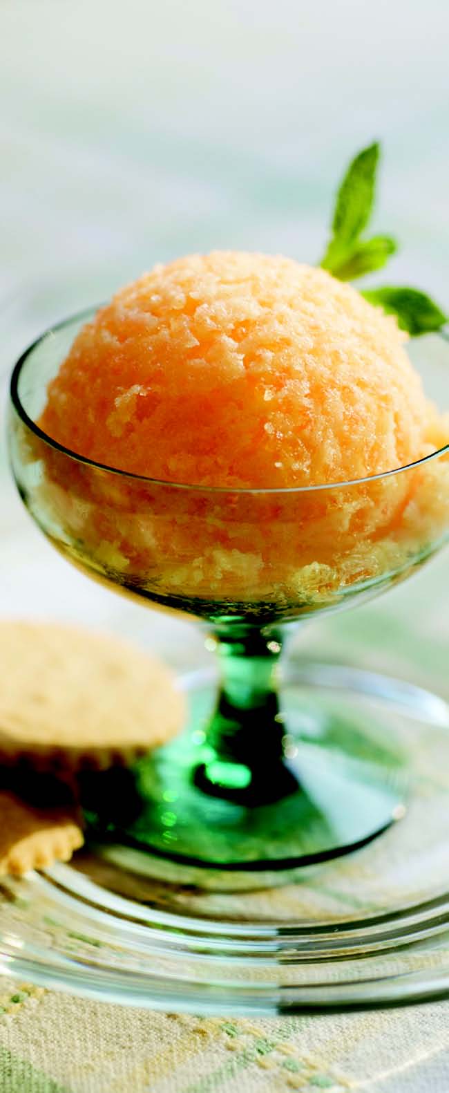 Sorbet od nektarina
