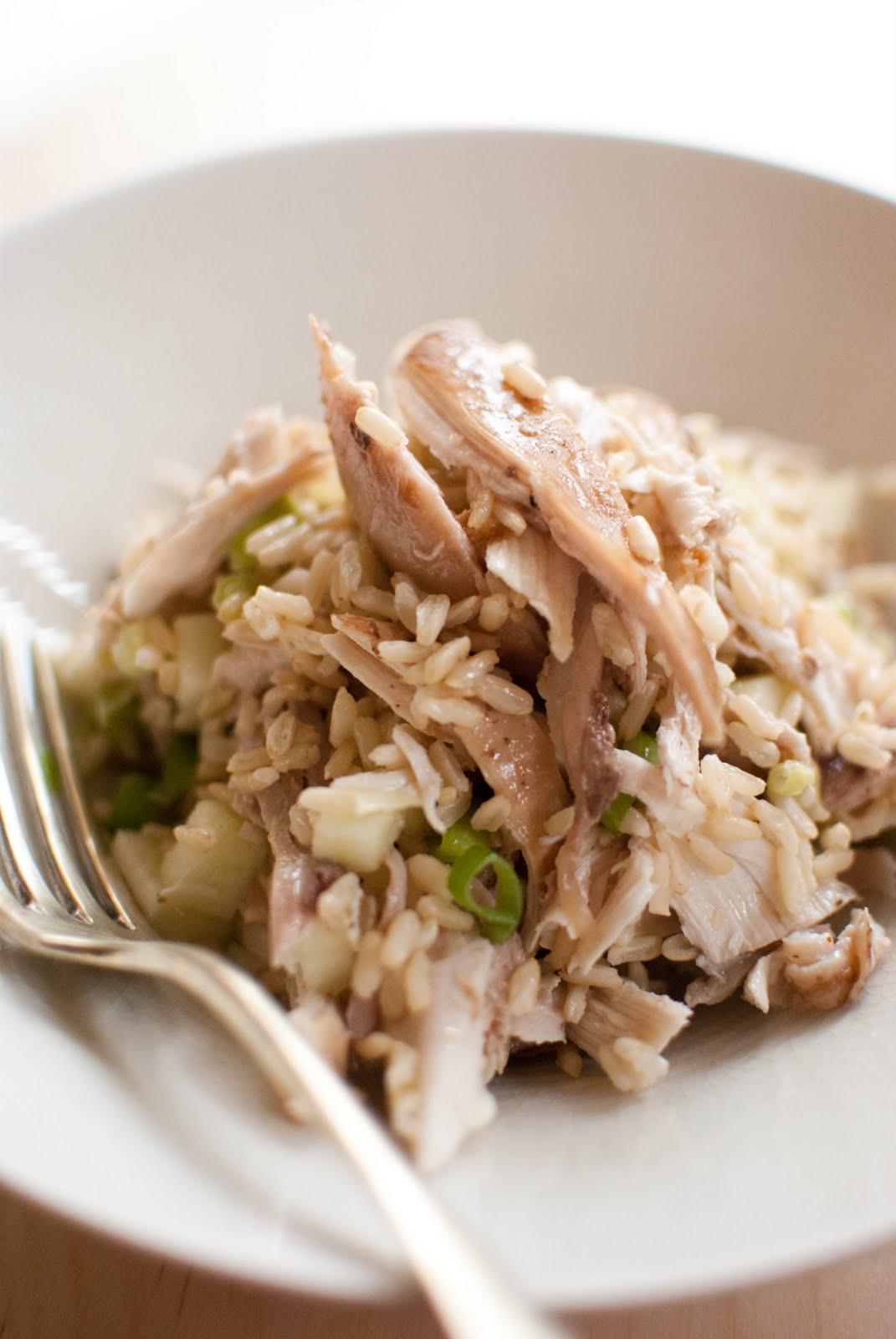 Salata od riže i piletine