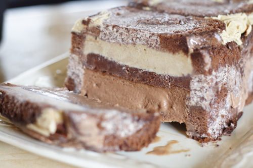 Brza orah tortica