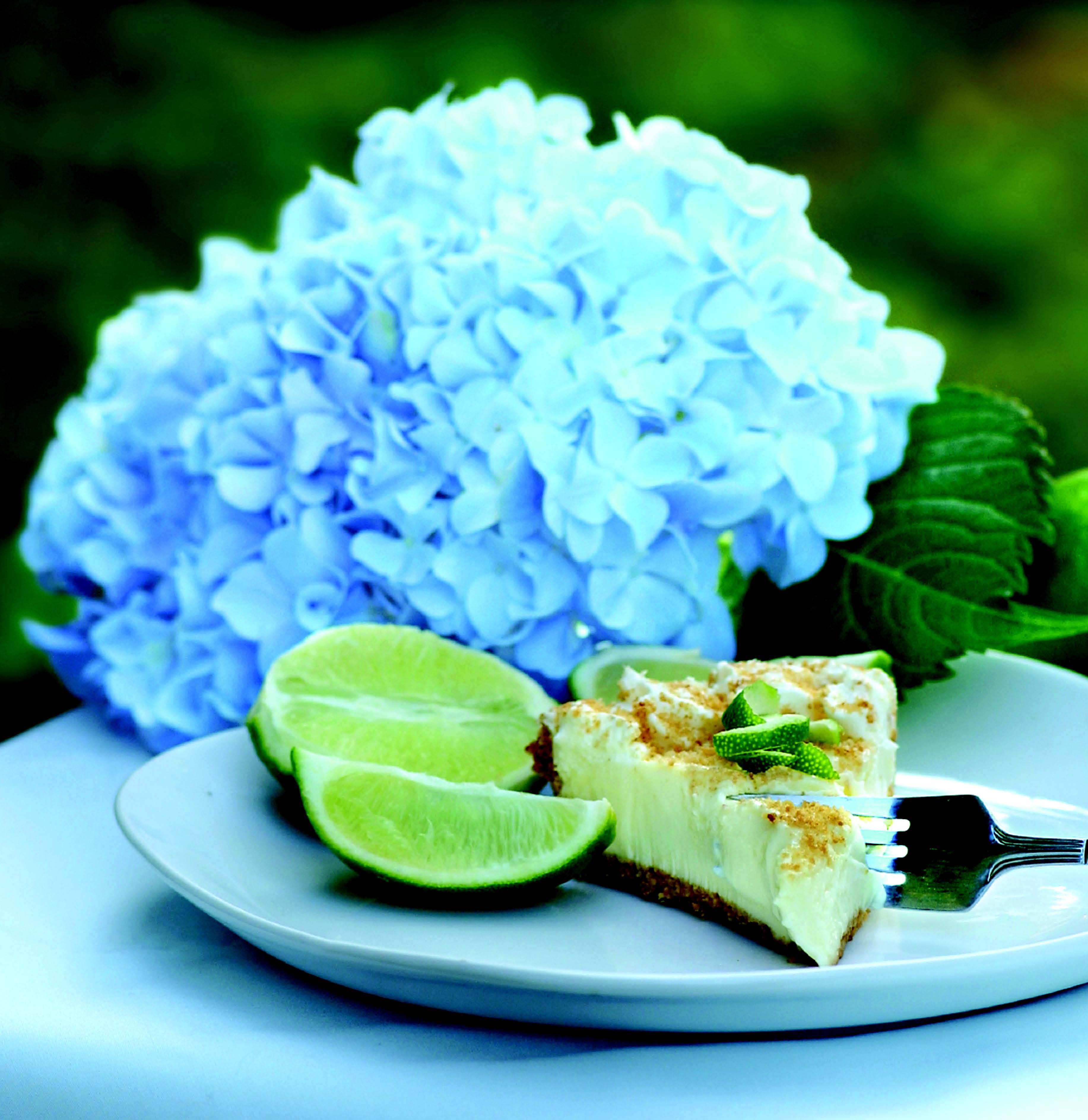 Torta od limete