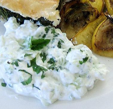 Jogurt salata