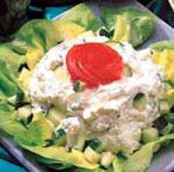 Michoteta salata